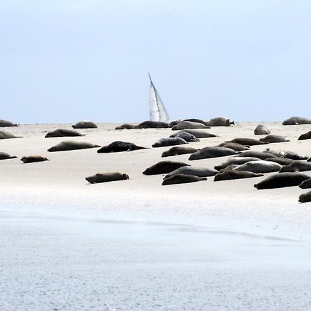 Borkumunterkunft - Woh7 - Im Herzen Der Insel Ngoại thất bức ảnh