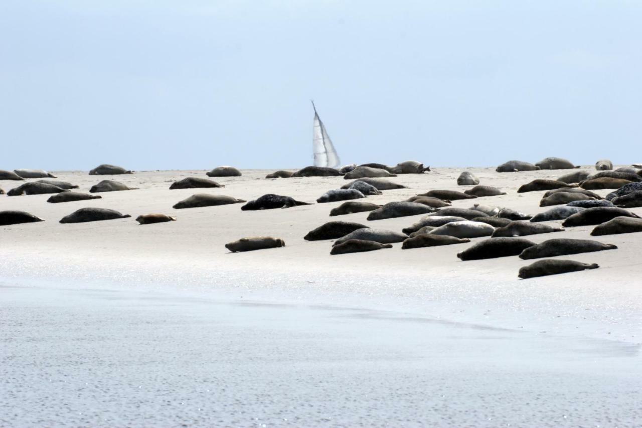 Borkumunterkunft - Woh7 - Im Herzen Der Insel Ngoại thất bức ảnh